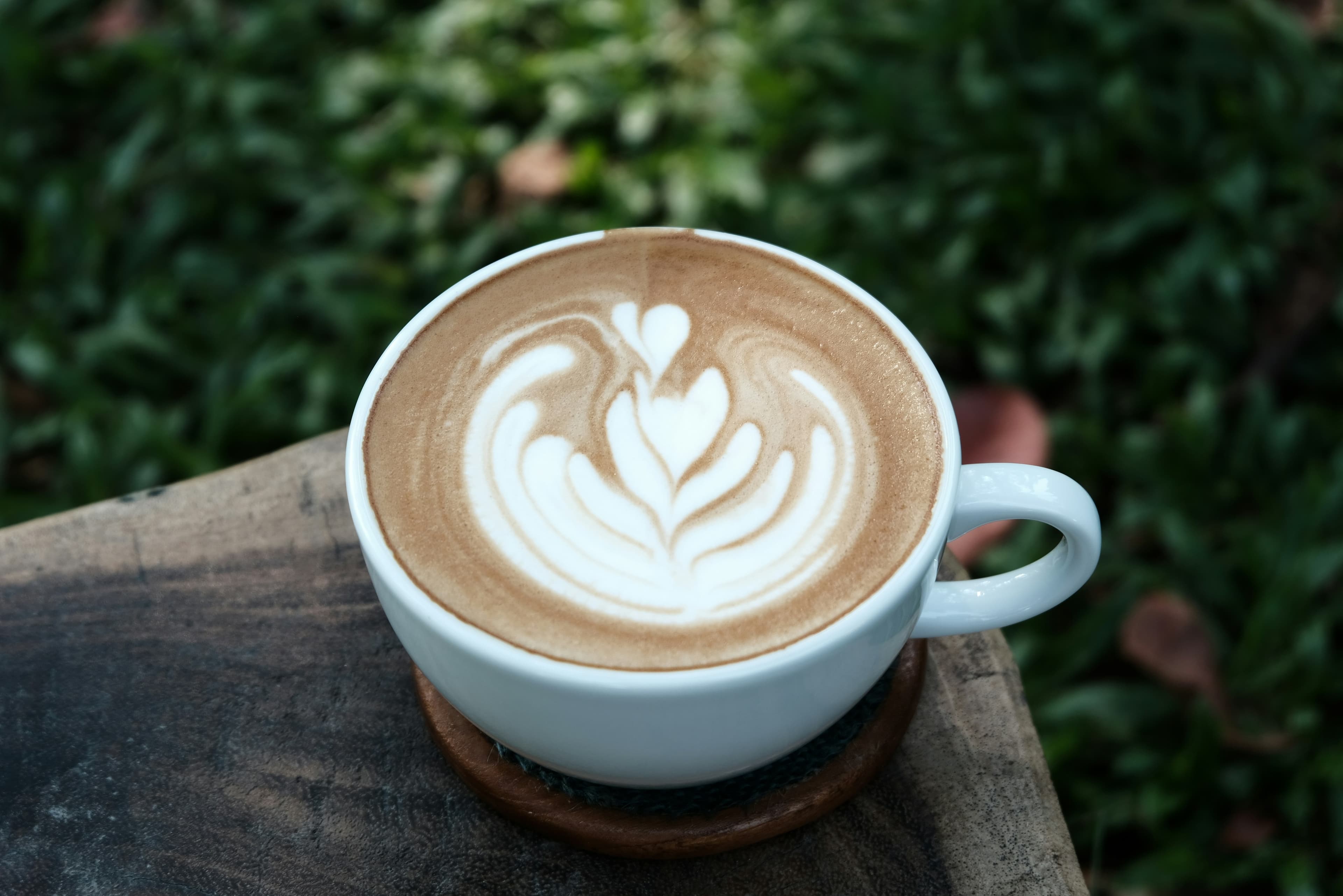 Bonsai Coffee and Bar- $1-$10 - Norah Bird Travel