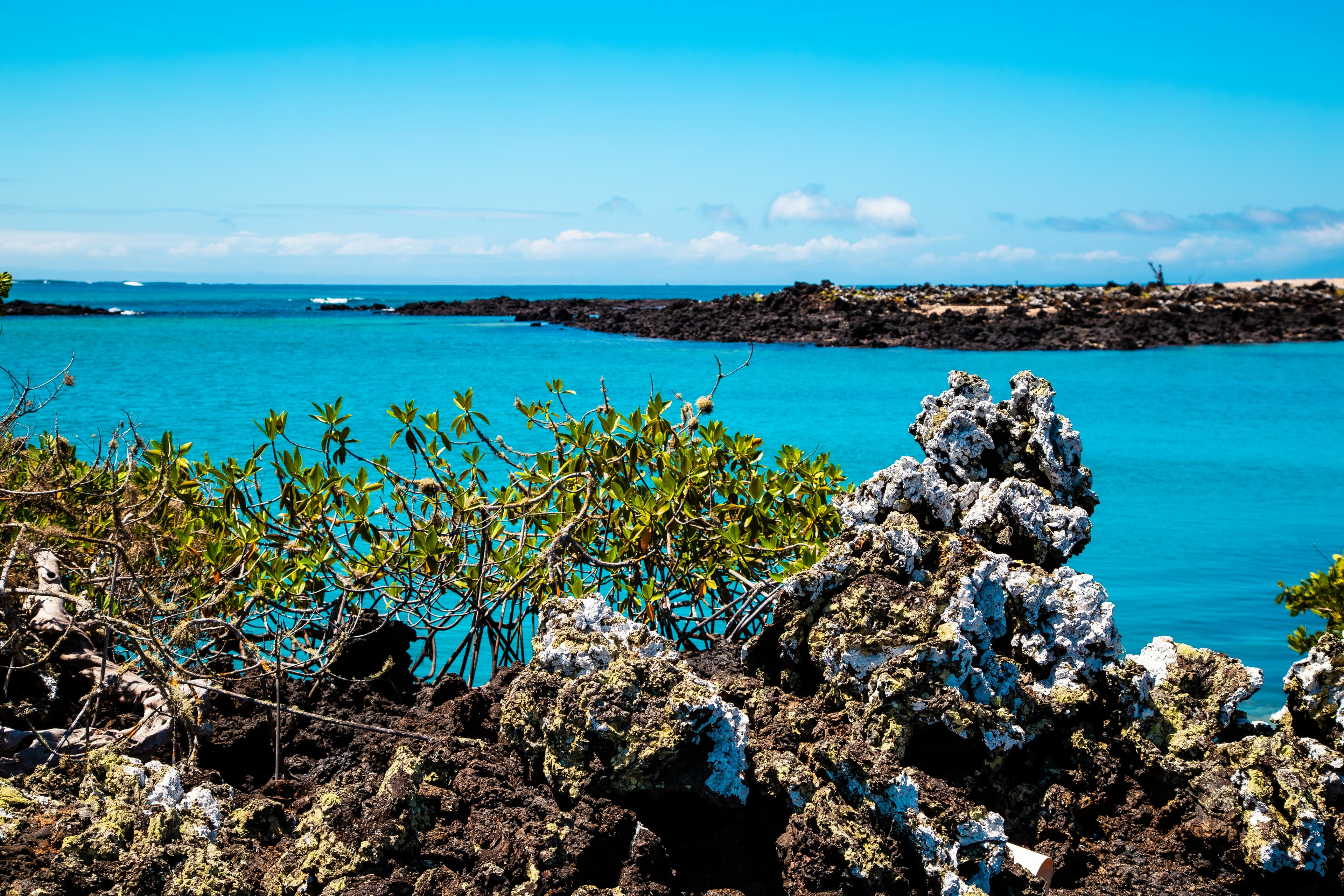 Abalone Cove Park