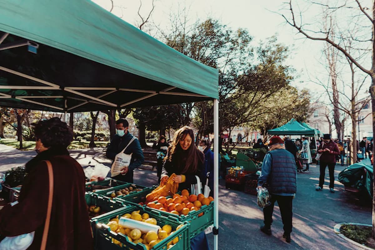 Hollywood Farmers’ Market – Fresh & Local Every Sunday - Norah Bird Travel